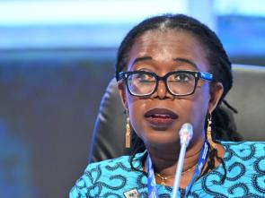 CoM 2026, Committee of Experts - Opening remarks by Deputy Executive Secretary Mama Keita