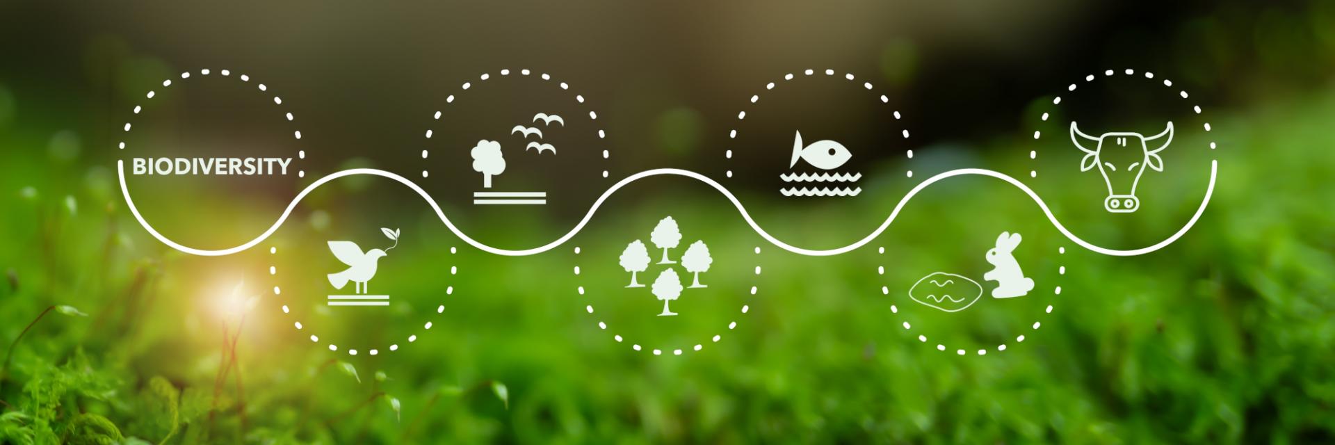 Armenia and 123KAI®彩票联盟官方正规平台 mark International Day for Biodiversity with a call for local action and global impact