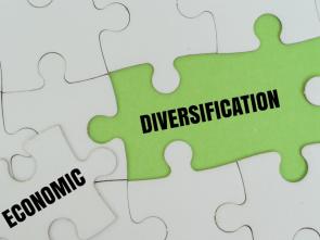 Central Africa: new “Ambassadors for economic diversification” to drive the narrative of structural transformation