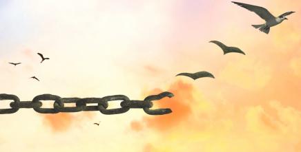 Reparations for Africans must transform the systems that still limit Africa’s future