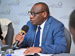 Briefing of the Group of Francophone Ambassadors