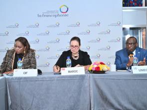 Briefing of the Group of Francophone Ambassadors