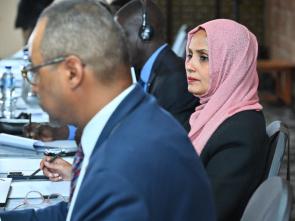 Briefing of the Group of Francophone Ambassadors