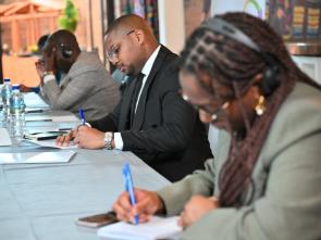 Briefing of the Group of Francophone Ambassadors