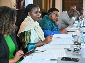 Briefing of the Group of Francophone Ambassadors