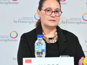 Briefing of the Group of Francophone Ambassadors