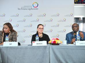 Briefing of the Group of Francophone Ambassadors