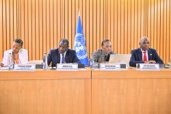 Regional preparatory workshop for African VNR and VLR