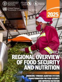 Africa Regional Overview of Food Security and Nutrition 2026 