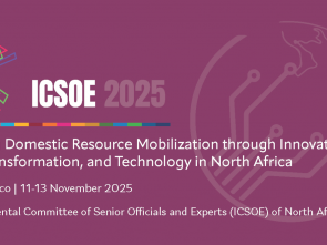 Financing development: ECA sheds spotlight on challenges of effective domestic resource management in North Africa